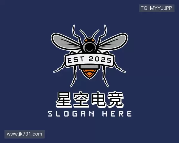 解读星空电竞